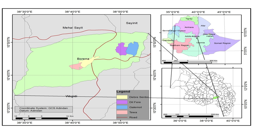 The study area, Borena district, is located in South Wollo zone, in Amhara National Regional State (Figure 1.1). It is about 467 kilometers North of Addis Ababa and 284 kilometers South-East of Bahir Dar town (Regional Capital). The district is found between 100 34’ 2” to 100 53’16”N and 380 27’39” to 380 55’49” E (CSA, 2008). The area is bordered by Mehal Sayint district at the north, Wogidi district at the south, Legambo district at the east and the Abay River at the west.  The district is characterized by different landscape features: mountains (10%), rugged land (40%), flat land (20%) and valley (30%). Its altitude extends from 500 meters above sea level at the bottom of the canyon of Abay to 3200 meters above the sea level at the northeast corner of the district. As a result, it is characterized by four agro-climatic conditions: Woinadega (47%), Dega (20%), Qolla (32%) and Wurch (1%). The area receives an average annual rainfall of 600-850 millimeter. Its mean monthly temperature is 220c, which ranges from a minimum of 130c to a maximum of 27. 20 C (BDAO, 2016).